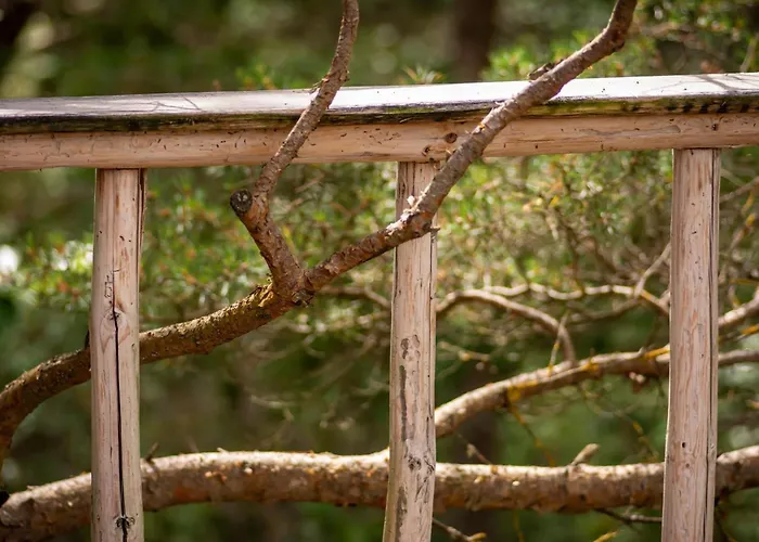 Ueuegumetsa Treehouse