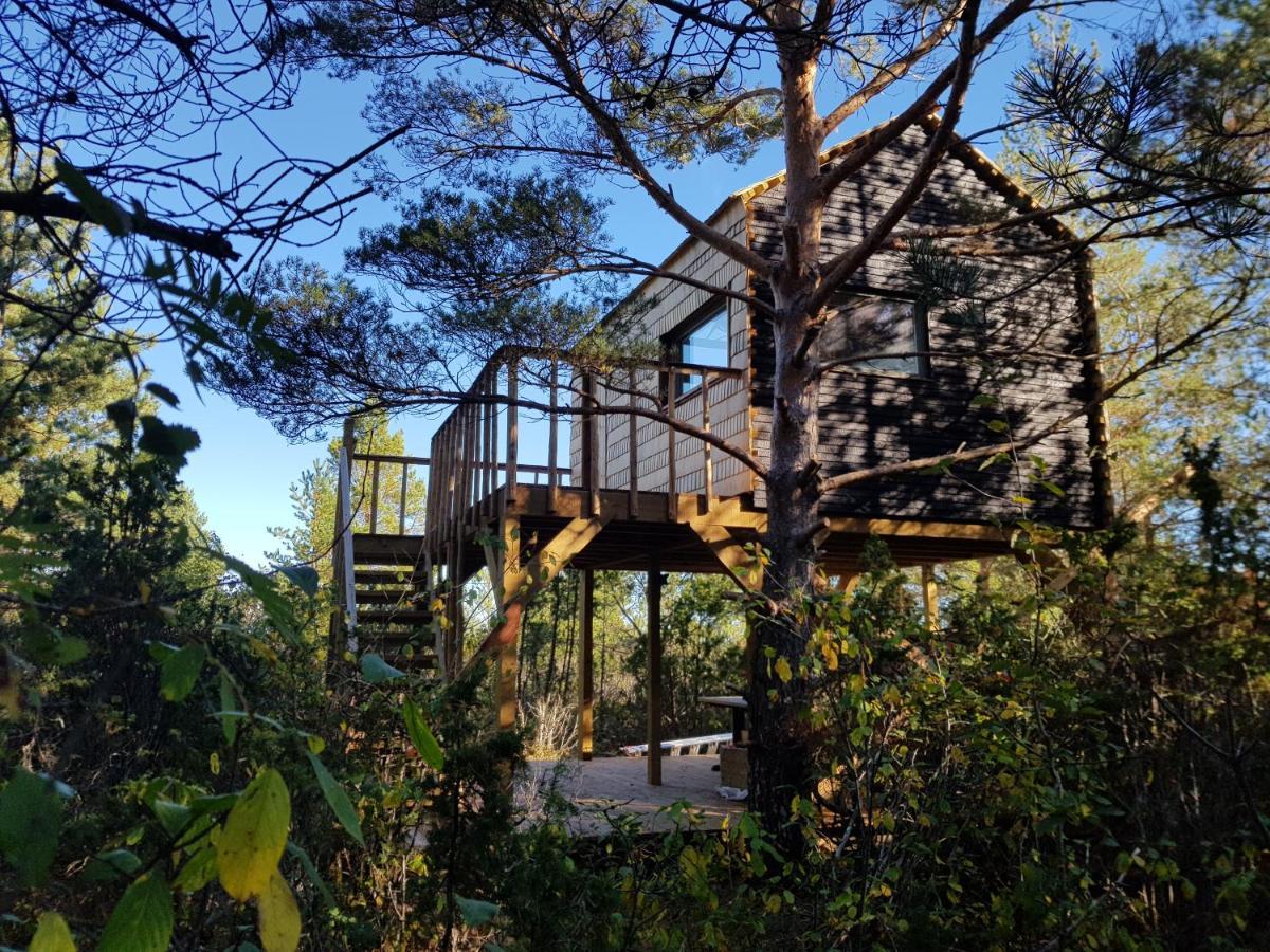Holiday home Ueuegumetsa Treehouse Kallaste (Saaremaa)