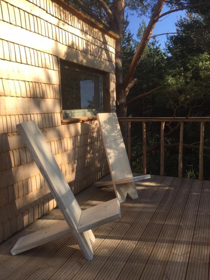 üügumetsa Treehouse
