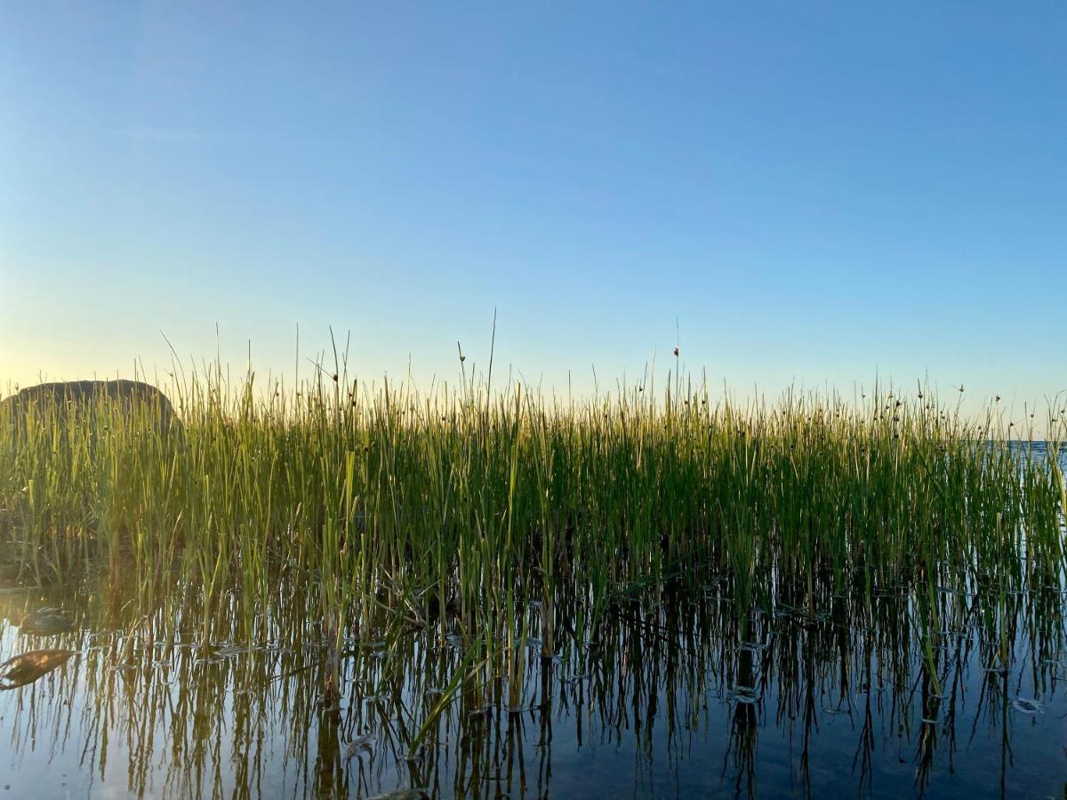 Ueuegumetsa Treehouse Kallaste (Saaremaa)