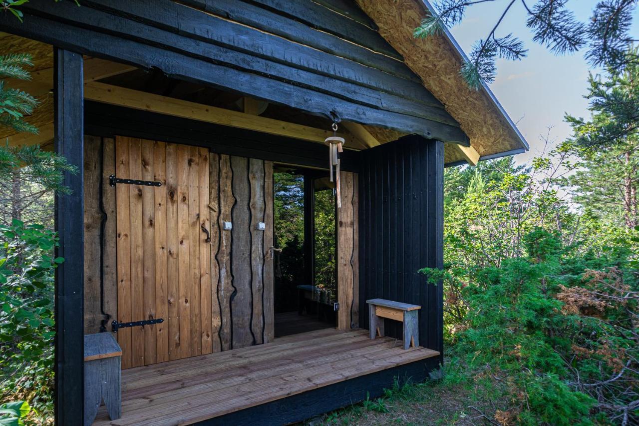 Ueuegumetsa Treehouse