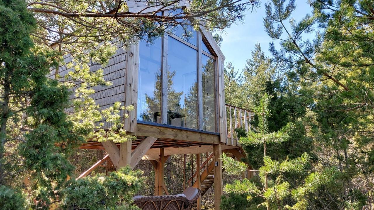 Ueuegumetsa Treehouse
