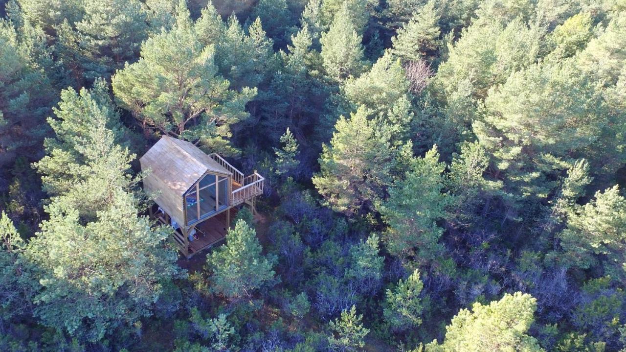 Ueuegumetsa Treehouse *
